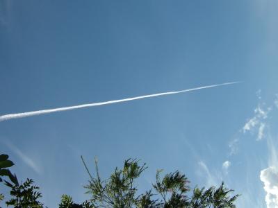  JL70  747-400, from NRT-KOA flies over my home daily (8:30am) showing it's vapor trails (Usually the only trails in Hawaii)