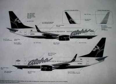 Winglet Plans...
