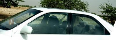 kuwaiti woman driving a car.jpg