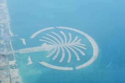 man made port shaped like palm tree in Dubai.jpg