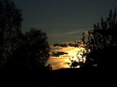 CRW_7460_1.jpg