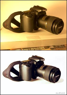 Optio S shoots 20D - post processing