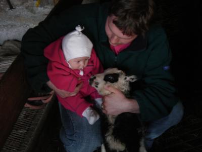 u26/asasdfdf/medium/43522919.Picture116.jpg