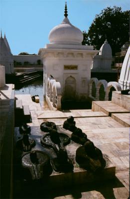 Madhya pradesh, Amarkantak