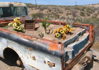 Old Truck used for FLOWERS