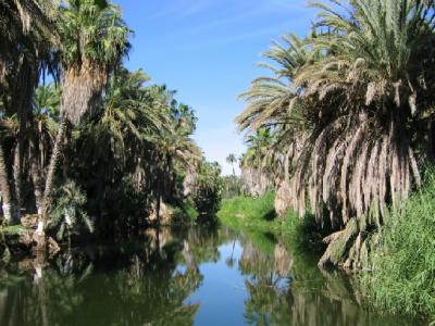 A shot of the Lagoon in Mulege