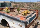 Old Truck used for FLOWERS