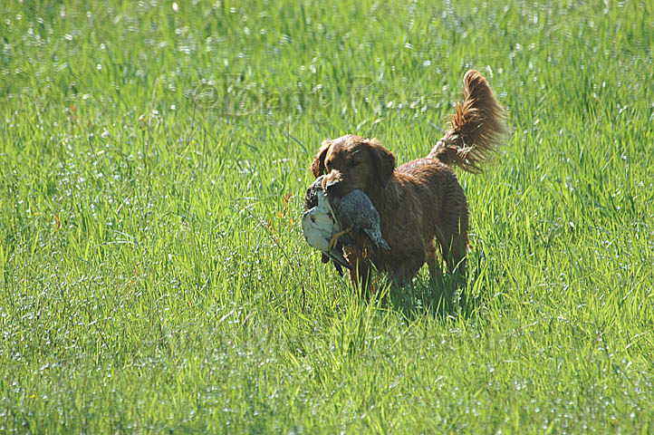 Open DSC_1435.jpg