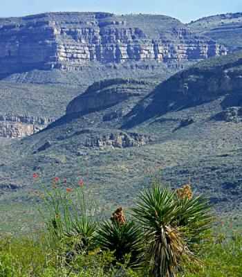 Sacramento Mountains