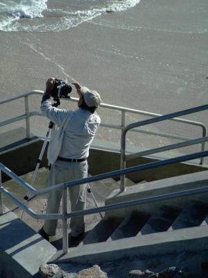 Working the Beach.jpg