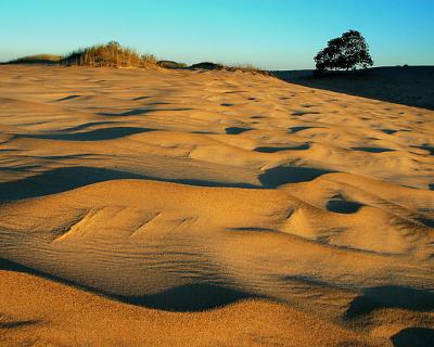 Dry Waves - Lomas de Arena, Santa Cruz, Bolivia