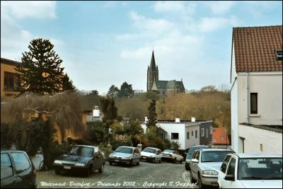 Watermael-Boitsfort, Bruxelles. Printemps 2002.