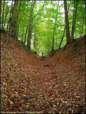 Fort de Soignes. Octobre 2004.