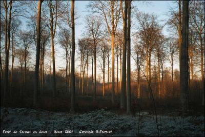 Fort de Soignes givre.