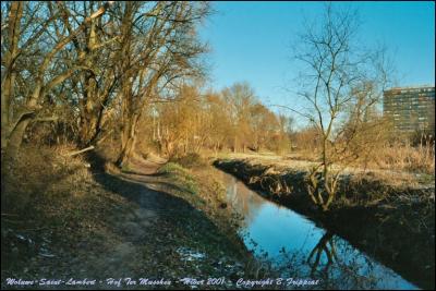 Hof Ter Musshen. Woluwe-Saint-Lambert.. Hiver 2001.