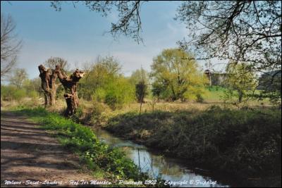 Woluwe-Saint-Lambert. Hof Ter Musshen. Printemps 2002.