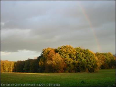 Du ct de Charleroi. Novembre 2004.