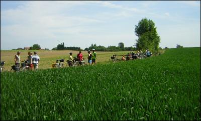 Panne ou grosse fatigue ?