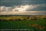 Campagnes autour de Chevetogne. Toussaint 2001.