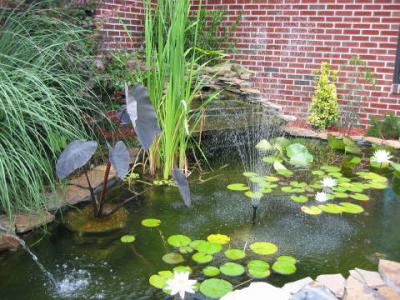 water pond, compliments of Jeff Croft