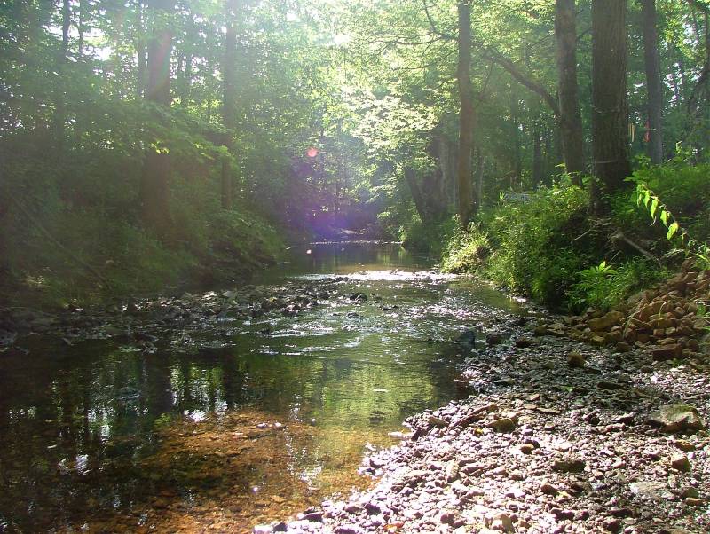 Creek (site for new golf coarse in White House TN)