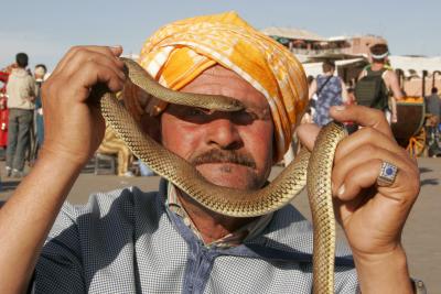 Snake Charmer #2