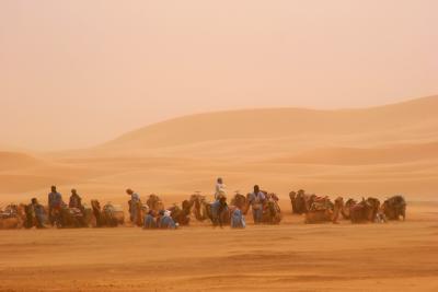 Sahara #8
