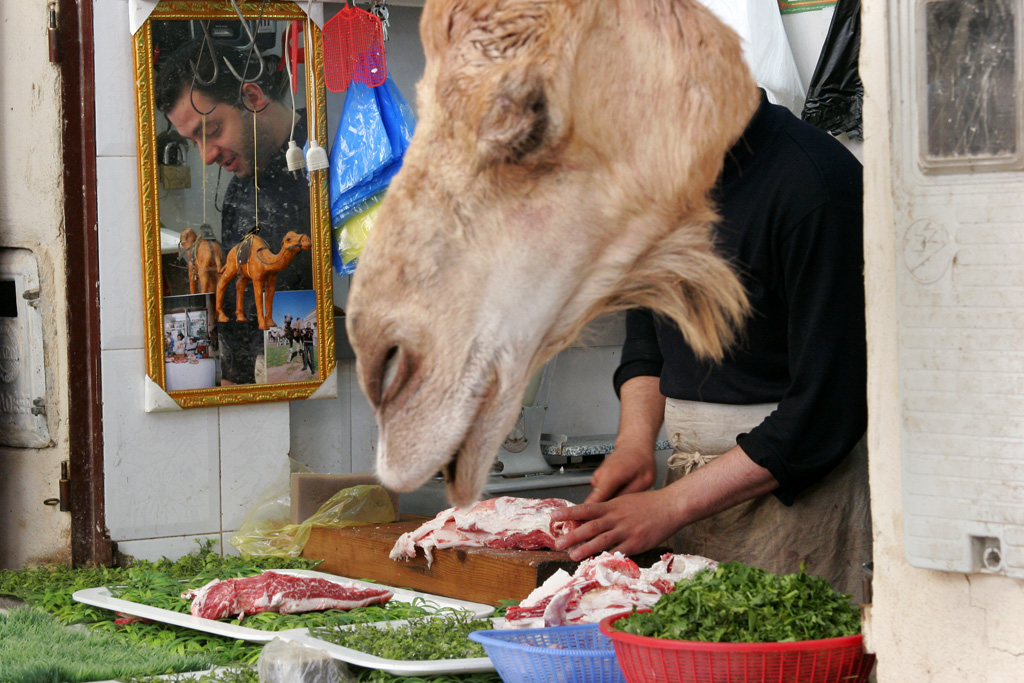 Fes Camel Shop