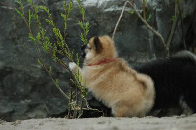 May15_05_614.JPG