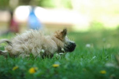 May25_05_207.JPG