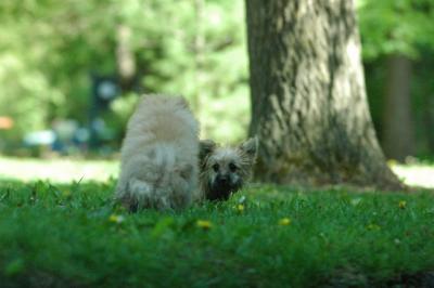 May25_05_213.JPG
