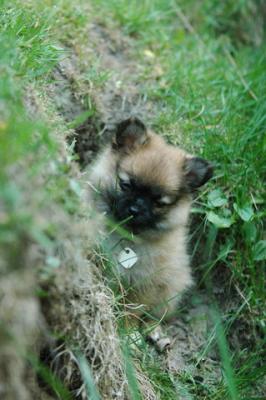 May25_05_234.JPG
