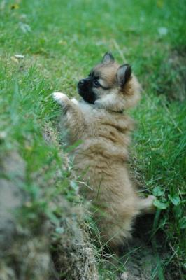May25_05_235.JPG