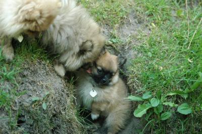 May25_05_237.JPG
