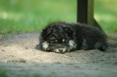 May25_05_243.JPG
