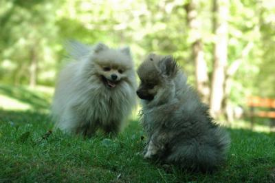 May25_05_259.JPG
