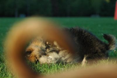 May25_05_276.JPG