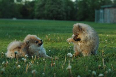 May25_05_307.JPG