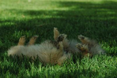 May26_05_135.JPG
