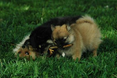 May26_05_162.JPG