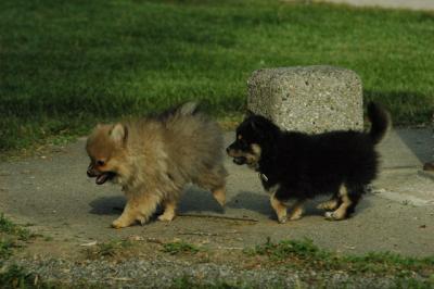 May26_05_254.JPG