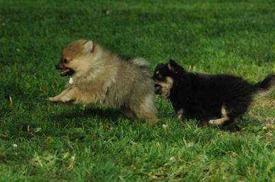 May26_05_256.JPG