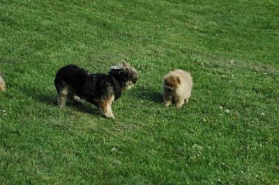 May26_05_273.JPG
