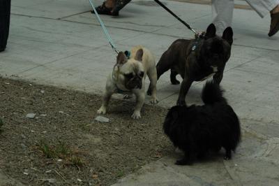 May29_05_001.JPG