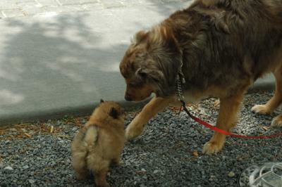 May29_05_106.JPG