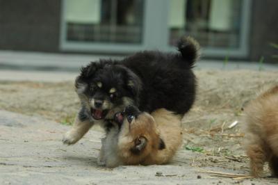 May29_05_121.JPG