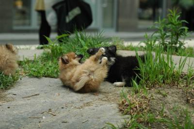 May29_05_128.JPG