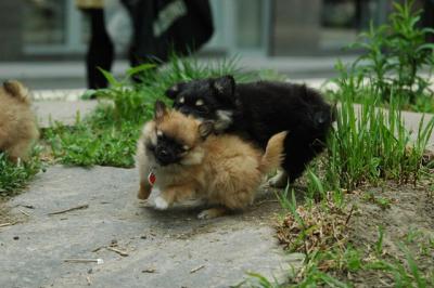 May29_05_129.JPG