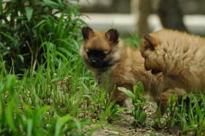May29_05_133.JPG
