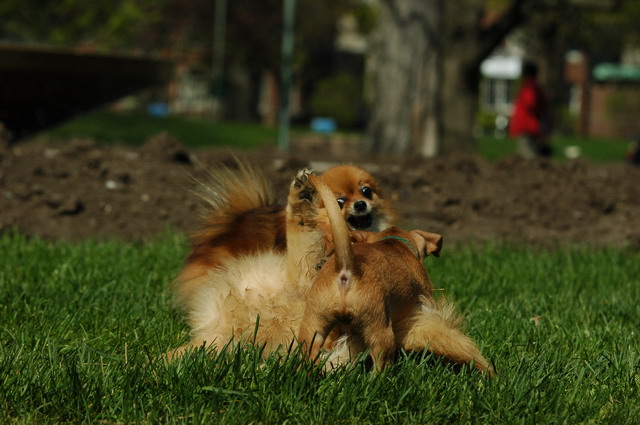 May18_05_128.JPG